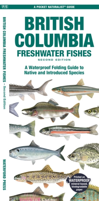 British Columbia Fishes By Morris, Matthew