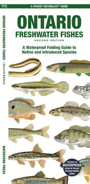 Ontario Fishes By Morris, Matthew