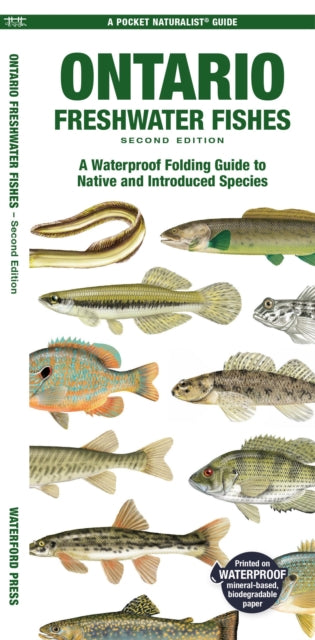 Ontario Fishes By Morris, Matthew
