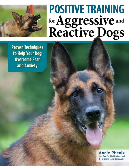 Positive Training For Aggressive Dogs