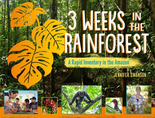 3 Weeks In The Rainforest