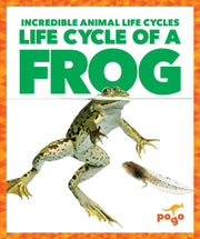 Life Cycle Of A Frog