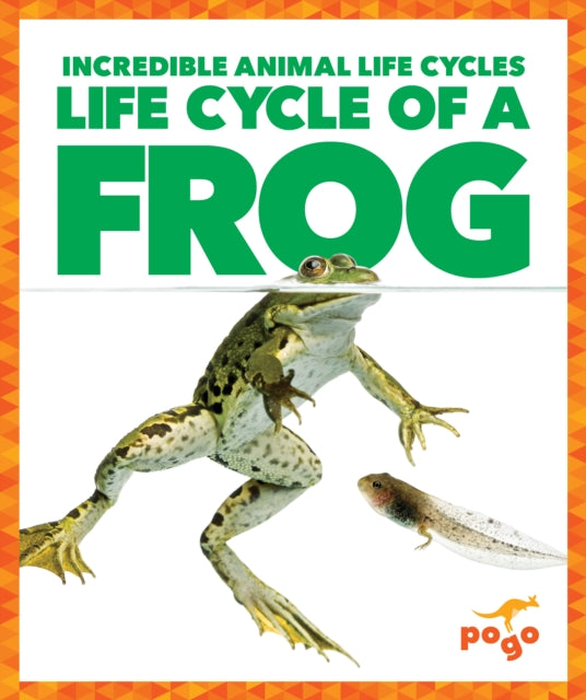Life Cycle Of A Frog