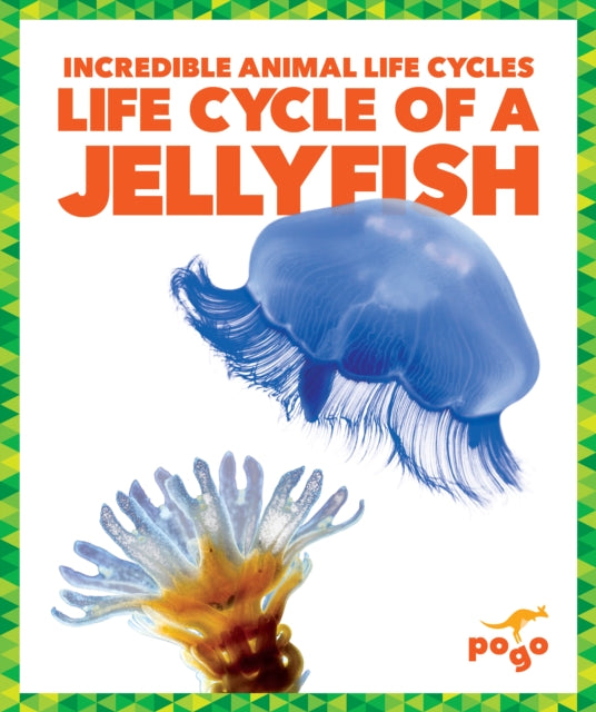 Life Cycle Of A Jellyfish