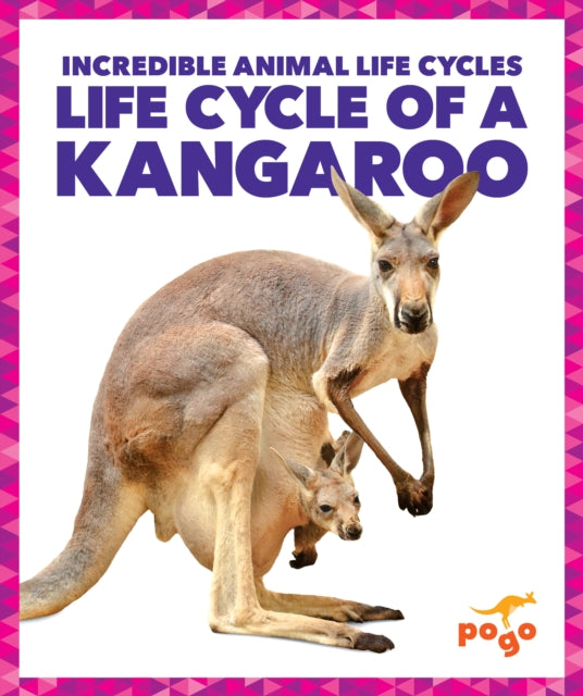 Life Cycle Of A Kangaroo