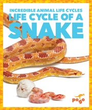 Life Cycle Of A Snake