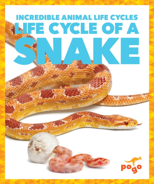 Life Cycle Of A Snake