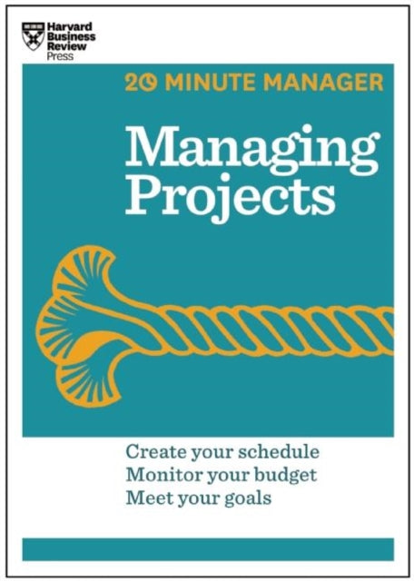 Managing Projects 20minute Manager Serie