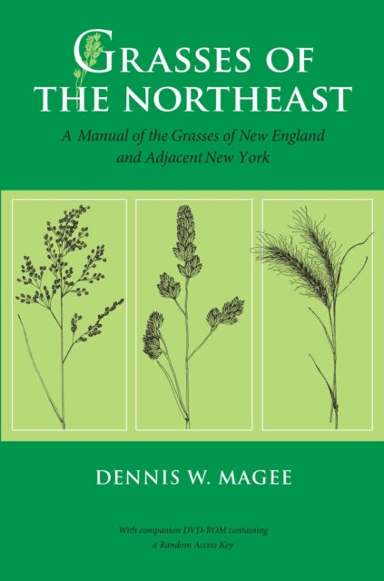 Grasses Of The Northeast