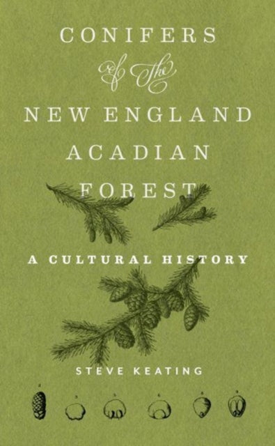 Conifers Of The New Englandacadian Fores