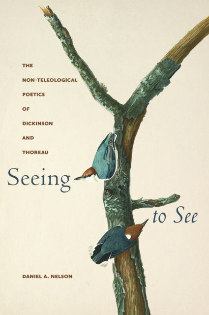 Seeing To See