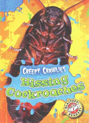 Hissing Cockroaches By Scheutz, Kari