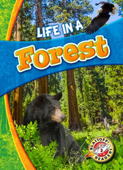 Life In A Forest