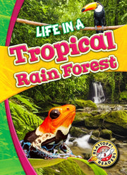 Life In A Tropical Rain Forest