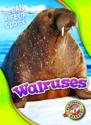 Walruses By Schutetz, Karl