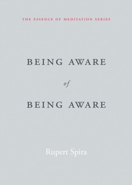 Being Aware Of Being Aware