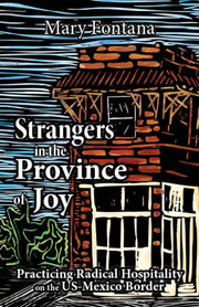 Strangers In The Province Of Joy Practic
