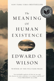 Meaning Of Human Existence