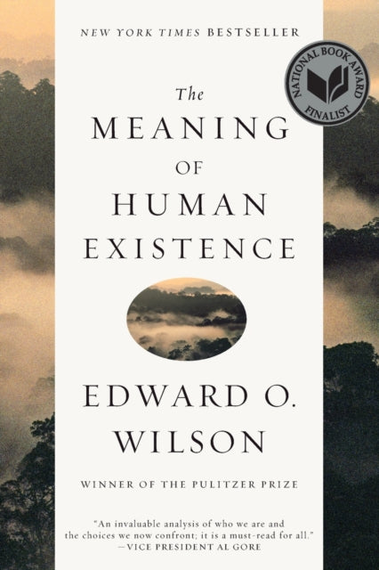 Meaning Of Human Existence