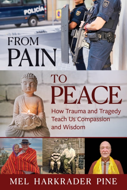 From Pain To Peace How Trauma & Tragedy By Pine, Mel