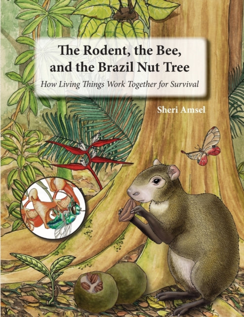 The Rodent, The Bee,  And The Brazil Nut