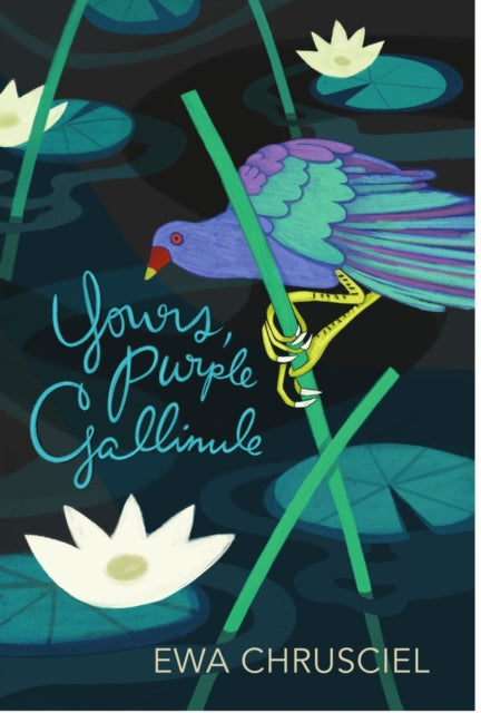 Yours Purple Gallinule