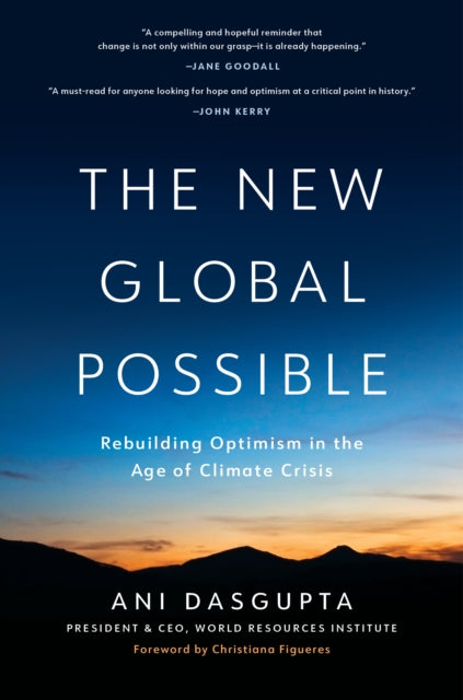The New Global Possible