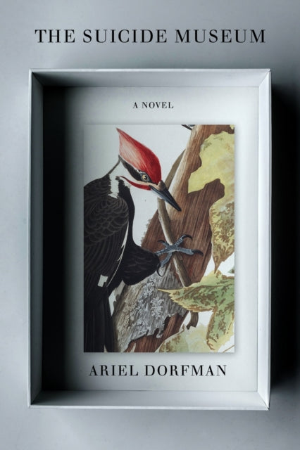 Suicide Museum A Novel