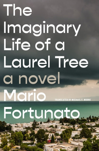 Imaginary Life Of A Laurel Tree