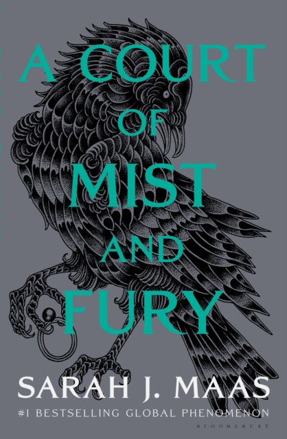 Court Of Mist And Fury Adult