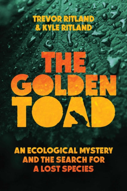 Golden Toad