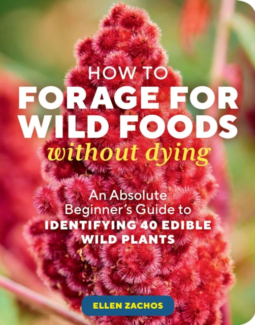 How To Forage For Wild Foods Without Dy