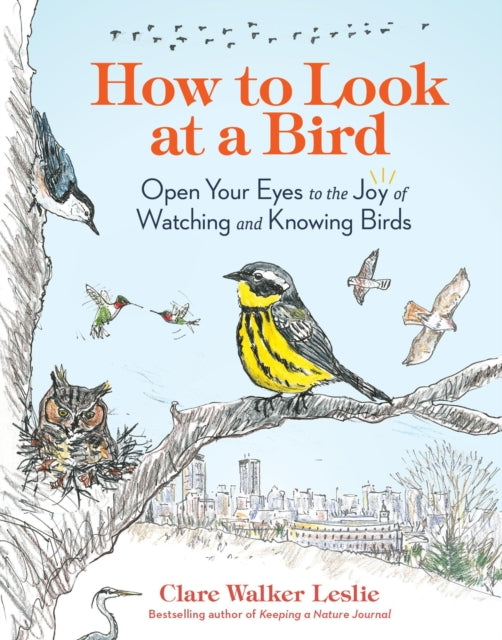 How To Look At A Bird