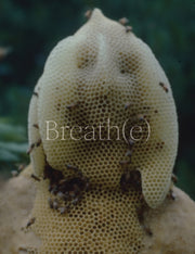 Breathe Toward Climate Social Justichb