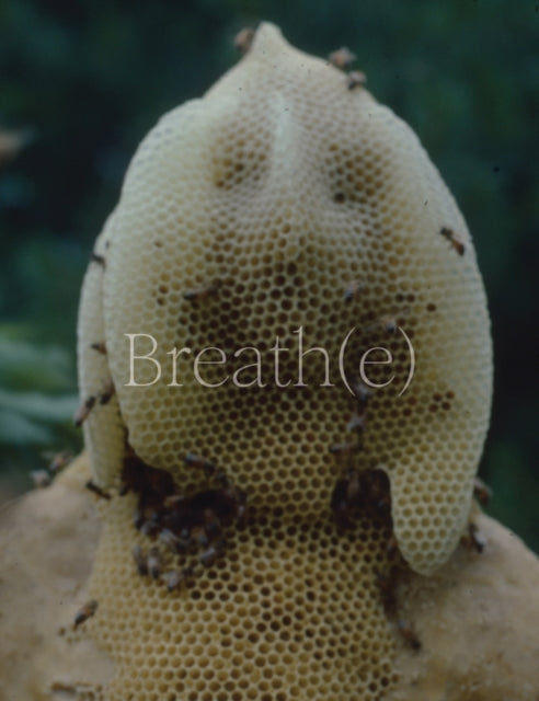 Breathe Toward Climate Social Justichb