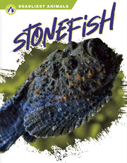 Stonefish By Golriz Golkar