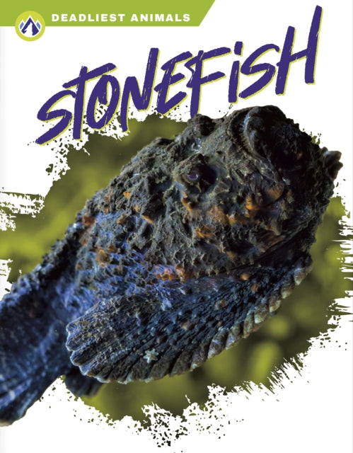 Stonefish By Golriz Golkar