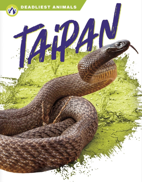 Taipan By Rachel Hamby
