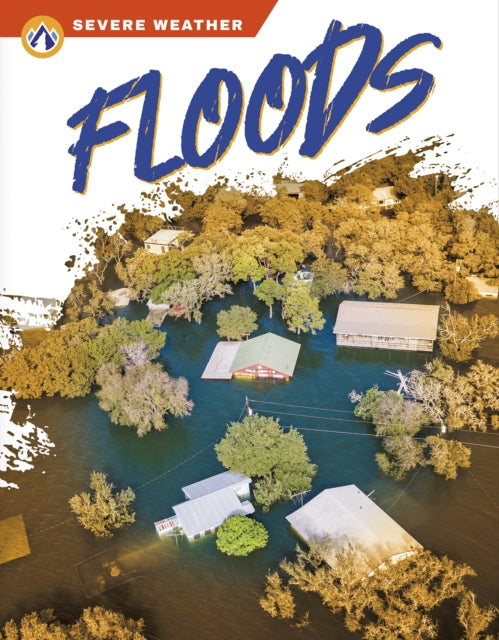 Floods By Sharon Dalgleish