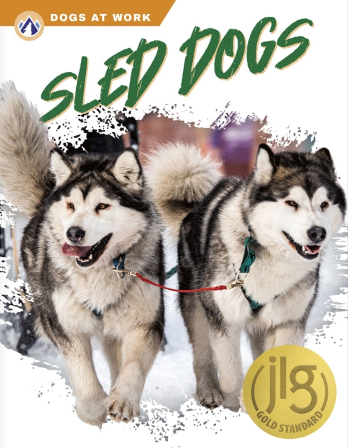 Sled Dogs By Matt Lilley