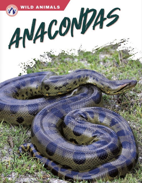 Anacondas By James Bow