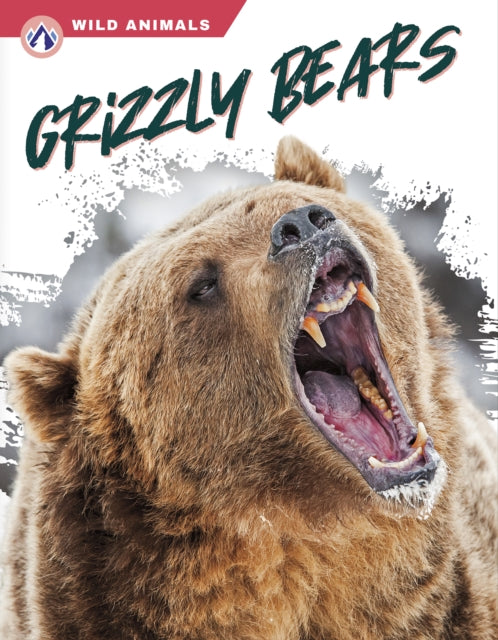 Grizzly Bears By Rachel Hamby
