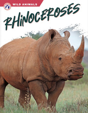 Rhinoceroses By Rachel Hamby