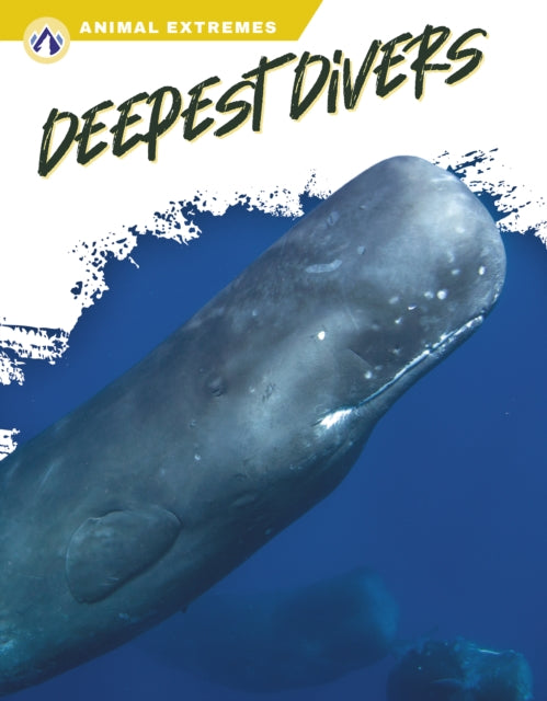 Deepest Divers By Elisabeth Norton