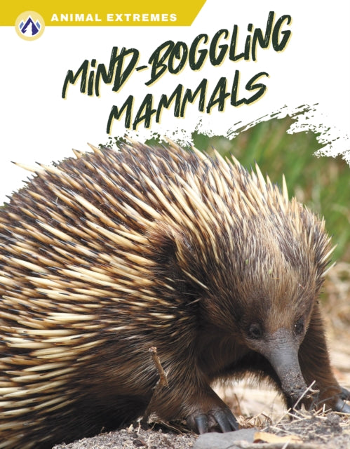 Mind-boggling Mammals By Libby Wilson