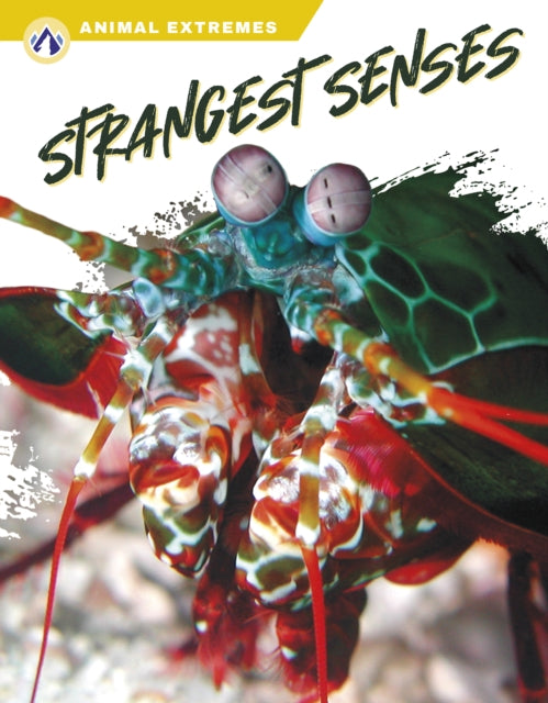 Strangest Senses By Ashley Gish