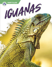 Iguanas By Shannon Jade