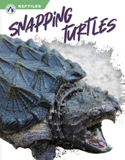 Snapping Turtles By Shannon Jade