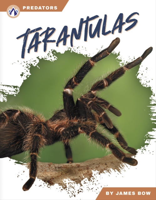 Tarantulas By Bow, James