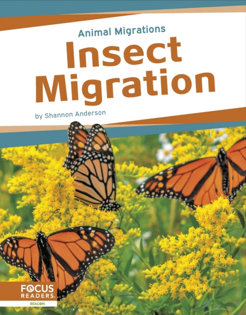 Insect Migration By Shannon Anderson